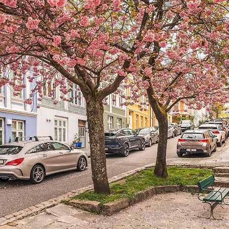 Dinbnb L 250m To Bryggen L Backyard L Smart-tv L 6 Guests Bergen